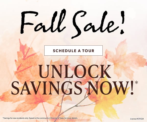 SGVY-0007-DigitalAd_McClatchy_Fall Sale_10-1-2510